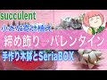 66【多肉寄せ植え】簡単！小さなバレンタイン寄せ植え！手作り木箱と100均のプラケースにカット苗と葉挿し苗で作る