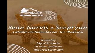 Sean Norvis & Seepryan - Sentimiento ft. Ane | Miguel Fernandes Remix