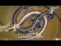 【アリーナ・オブ・ヴァラー】龍の国PV