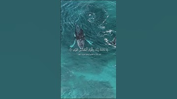 سورة النازعات الآيات (15–18) بصوت خاشع | الشيخ رعد الكردي | تلاوة تلامس أعماق القلب