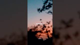 তাহলে সে ব্যক্তি সারা জীবন #rasulullah #sunnah #lacture