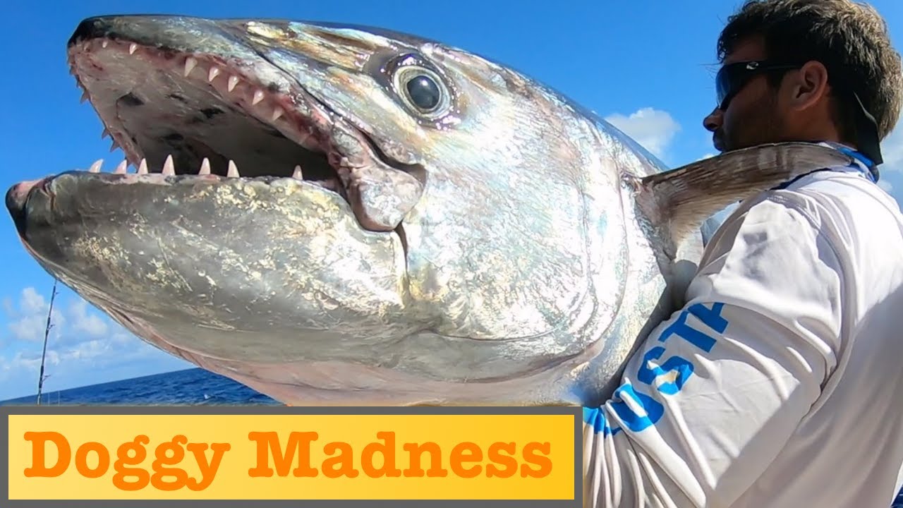 Fishing Secret Spots in Seychelles - Jigging and Popping Expedition!