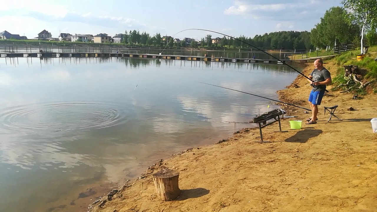 Русфишинг соколово