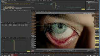 LSF Object tracking eyeball strategies camtasia v002