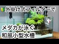 【メダカの小型水槽】苔と石を使った"和風メダカ水槽レイアウト"