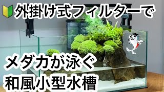メダカの小型水槽 苔と石を使った 和風メダカ水槽レイアウト Youtube