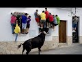 MOMENTOS MAIS RIDÍCULOS GRAVADOS PELAS CÂMERAS
