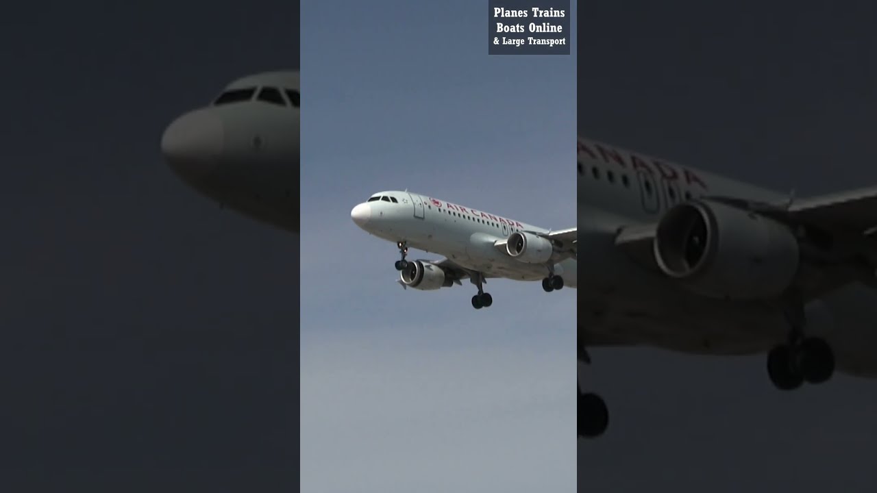 エア・カナダ Planetags A320-211 C-FTJ（C-FTJR - Star