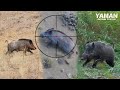 20 Hunts in 10 Minutes - BEST OF HUNTING Compilation #hunting #wildboar