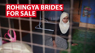 Rohingya Brides For Sale | Get Real Rohingya Brides For Sale | Get Real