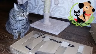 Игрушка для кошки своими руками Игрушка для кошки своими руками