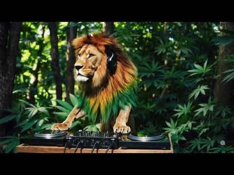 Cover LionManBeatz - Light it up