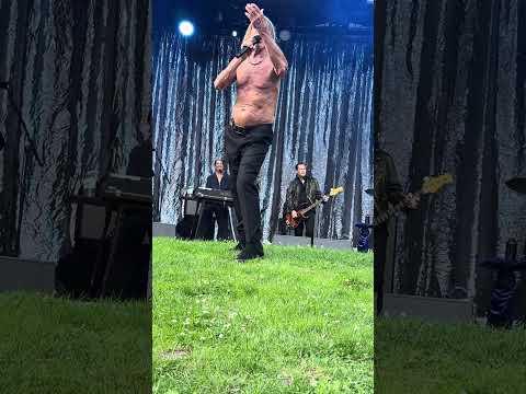 👕🧠 Iggy Pop Proves Age Can Make Stage Presence Stranger, Stronger and More Real #IggyPop