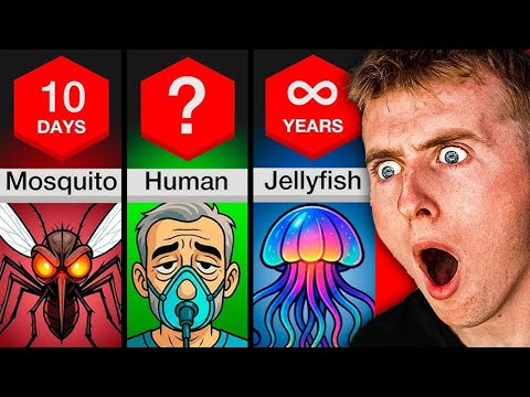 What Is The Shortest Living To Longest