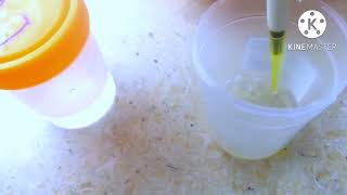 manual semen analysis تحليل السائل المنوي عملي... فيديو ٩ من كورس التحاليل الطبيه
