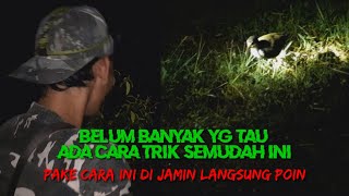 cara mudah menangkap burung ruak ruak malam hari \