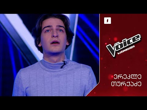 #ვოისი ერეკლე თურქაძე | Erekle Turkadze - Virtual insanity