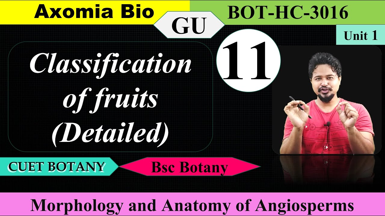 Classification of fruit (Details)|Fruit Morphology|Bsc Botany|3rd sem|GU| Dr Rajib Borah| Axomia Bio