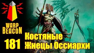 ВМ 181 Либрариум AoS - Костяные Жнецы Оссиархи / Введение в Warhammer AOS