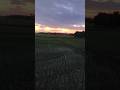 Evening Village Seen #shorts #shortsvideo #tranding #bollywoodsongs #villagelife #youtubeshorts