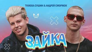 Тимоха Сушин & Андрей Сморжок -  Зайка (official audio)