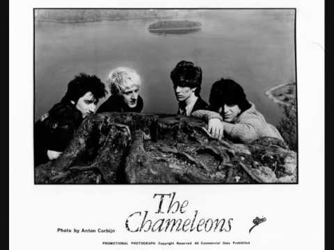 the chameleons-soul in isolation