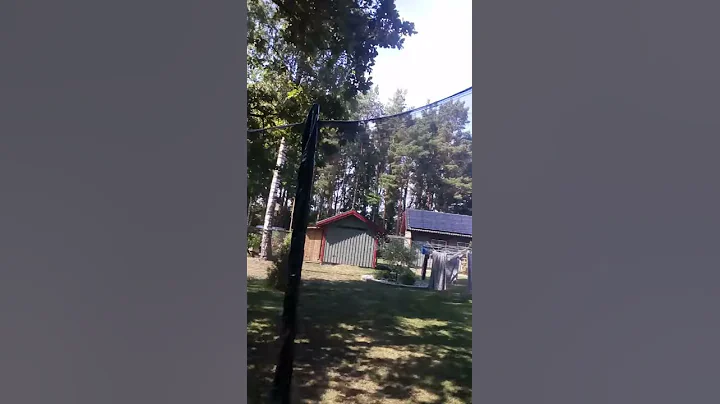 Osckar