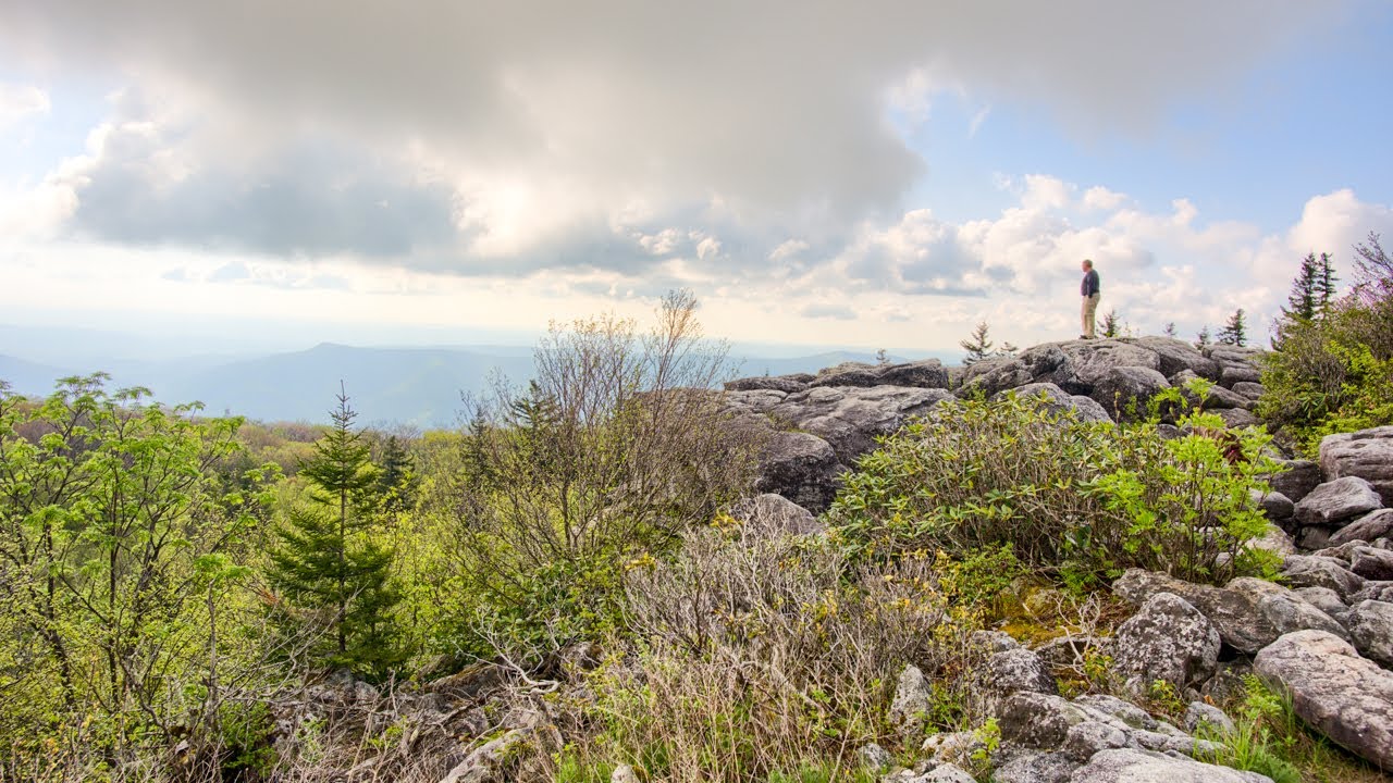 Dolly Sods Wilderness (West Virginia) Backpacking - MaxresDefault