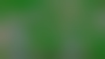 ATARI STE Dynabusters + Dyna Busters+ BOMBERMAN BOMBER MAN 1994 07 15TSCC STE SW TT FALCON