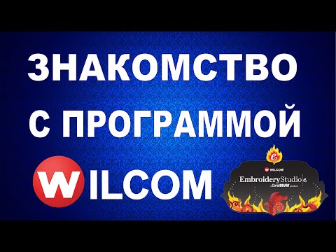 Video: Četka Sa Slavom: Plakanje S Wilcom & Jeff Tweedy - Matador Network