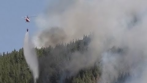 Wildfire Rages through Forest in Spain