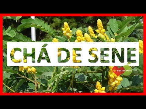 Os 12 Benefícios do Chá de Sene Para Saúde! | Dicas de Saúde