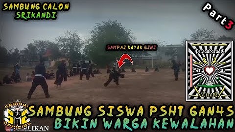 SAMBUNG SISWA PSHT GAN4S CABANG BATAM BIKIN WARGA KEWALAHAN | PART3