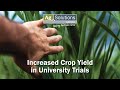 Increased Crop Yield in University Trials