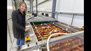 Local apple producer eyes bigger bite of market