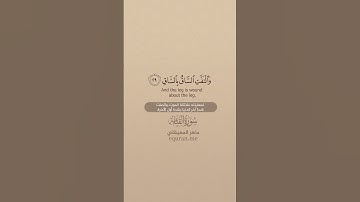 سورة القيامة [ 26 : 35 ] ~ الشيخ ماهر المعيقلي