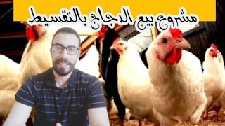 كيفية انشاء محل بيع الدجاج الحي والمذبوح بالتقسيط | تكلفة المشروع-الوثائق الضرورية-اسرار النجاح