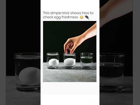 How to check eggs 🥚 #education #viralvideo #physics
