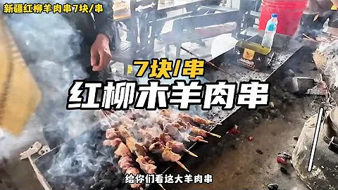 红柳木羊肉串，七块一串，肥瘦相间好吃不贵经济实惠个 - 天天要闻