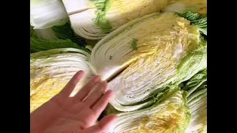 Cách làm kimchi chuẩn vị Hàn Quốc