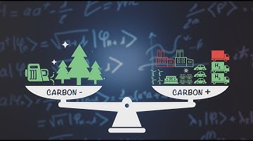 Take a Moment to Better Understand Net Zero