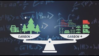 Take a Moment to Better Understand Net Zero