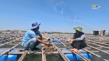 Nhà nông hội nhập 5/3/2024 | Nuôi hàu sữa ở Long Sơn | BRT TV