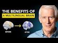 اختبار حول تعلم اللغة والدماغ