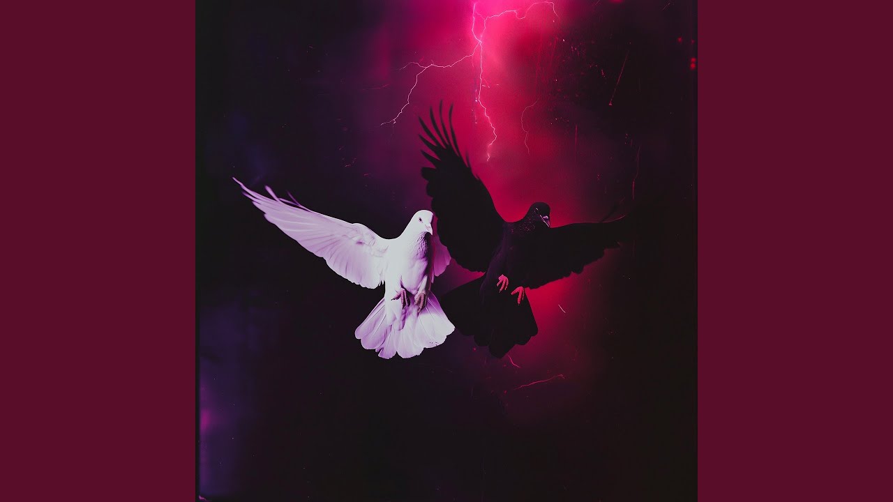 NUMERI (feat. Toni Zeno, RollzRois)