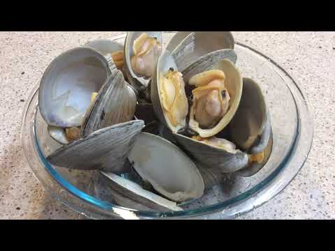 Video: Zeevruchtensoep