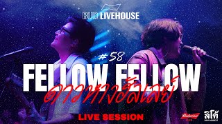 ดาวหางฮัลเลย์ | Fellow Fellow [Live Session]