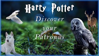 Discover Your Patronus 🎇😱 | Test | Like a Pro