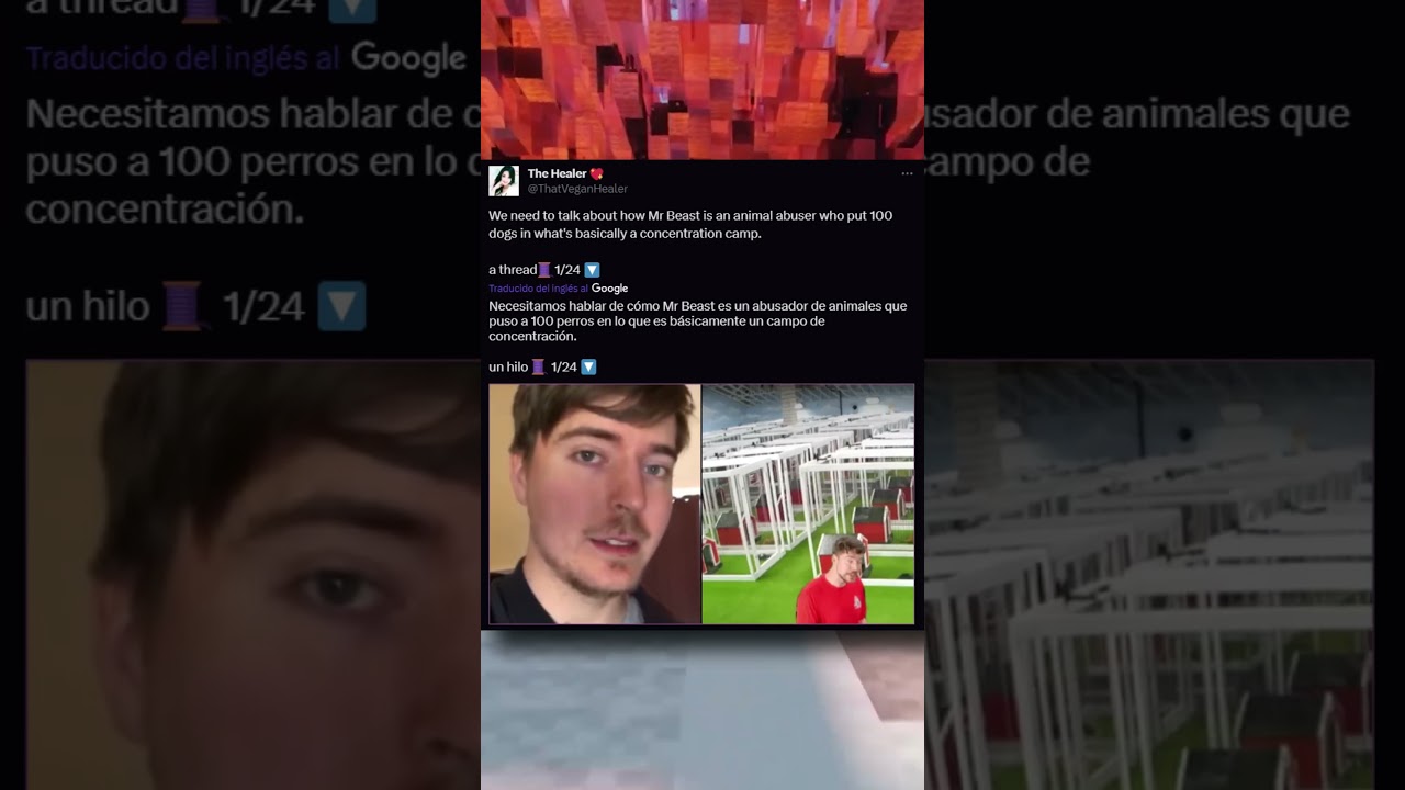 Mr BEAST es FUNADO por AYUDAR A los ANIMALES #mrbeast #peta #mrbeastfunado