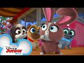 Valentine's Day | Puppy Dog Pals | @Disney Junior